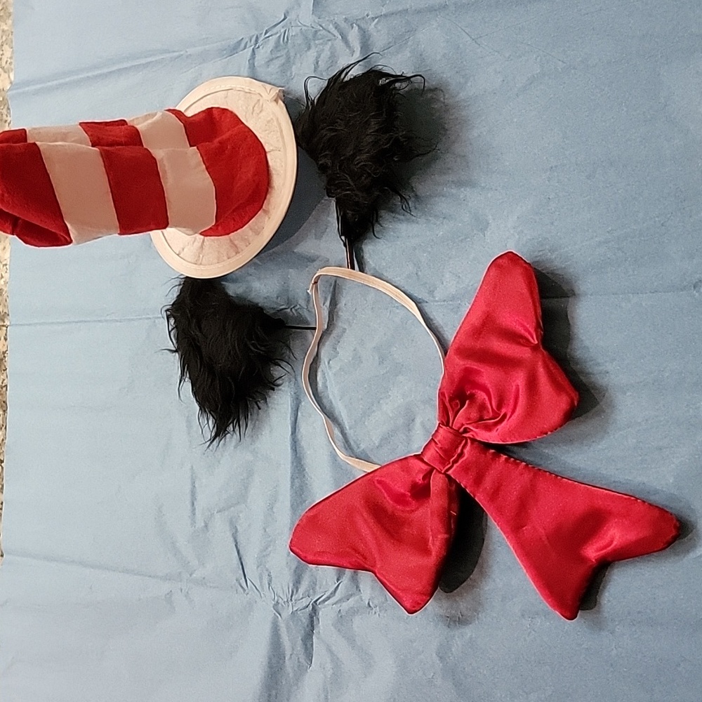 Dr. Suess hat